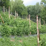 Апарт-отель Agriturismo La Sorgente Граведона