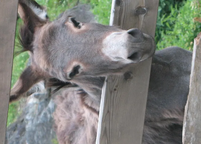 Agriturismo La Sorgente *
