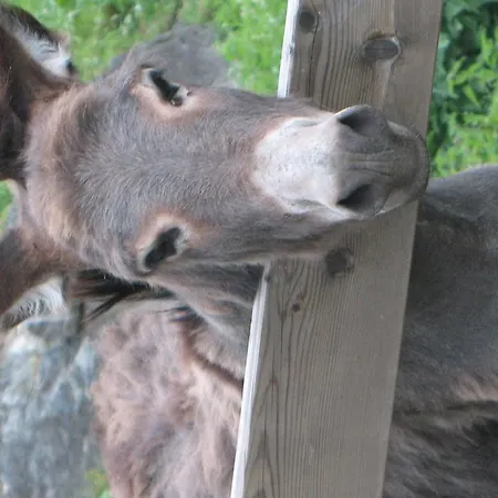 Agriturismo La Sorgente *