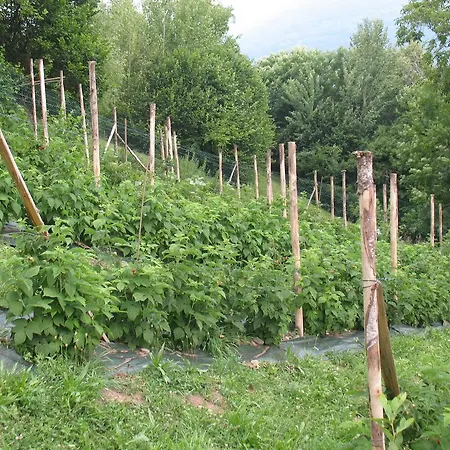 Apartahotel Agriturismo La Sorgente Gravedona